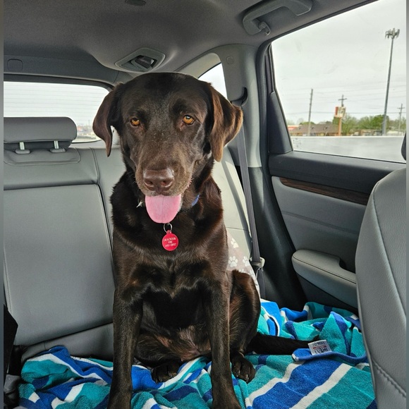 Meet your Posher, Kim - Picture 7 of 9